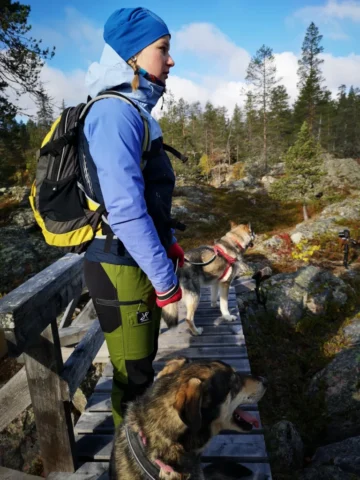 Huskyhiking_kivitunturi_oma