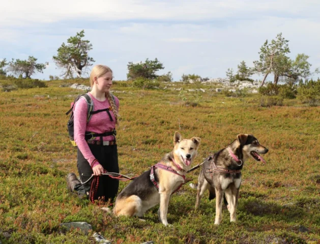 Inka_ja_koirat_laessa_vaaka_neliö