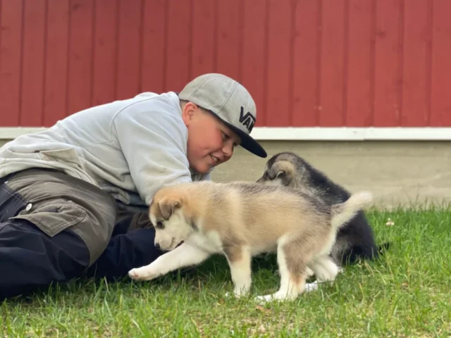 JPEG-kuva-0B1ECF2972AD-1