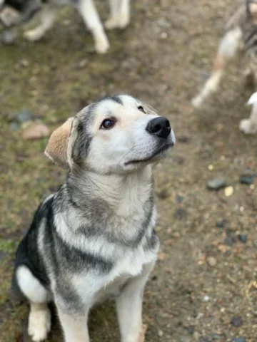 bc7734ec-4540-4a77-914c-65d514c82faa