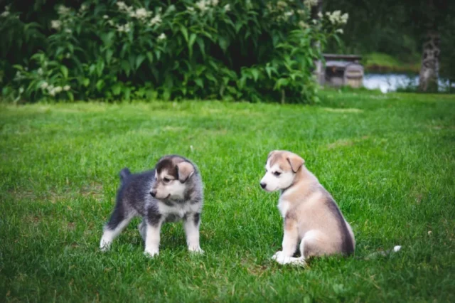 e0358dfd-17c1-4d1c-9ebc-7dca60ccc7f8